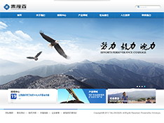 甘肃泰隆森矿业有限公司