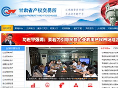 甘肃省产权交易所股份有限公司