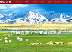 甘肃中天羊业股份有限公司