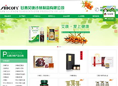 甘肃艾康沙棘制品有限公司