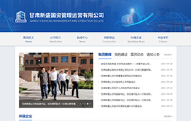 甘肃新盛国资管理运营有限公司