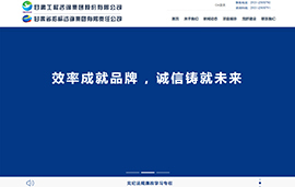 甘肃省招标咨询集团有限责任公司