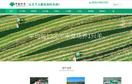 环县中盛羊业发展有限公司