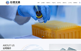 白银龙盛化工​有限公司
