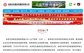 张掖市发展投资集团有限公司