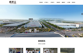 武威市威乐乳胶​科技有限公司